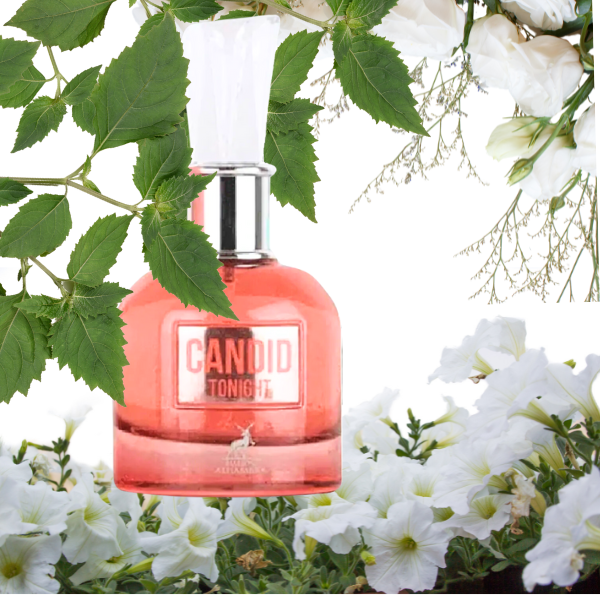 Candid Tonight Maison Alhambra EDP 100ml/3.4oz Women