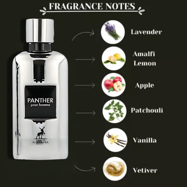 Panther Pour Homme Maison Alhambra EDP 100ml/3.4oz Men