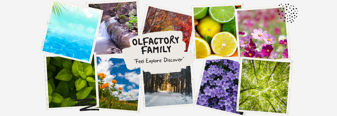 The Fragrance Families: A Complete Guide